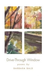 drive-through-window-cover.jpg